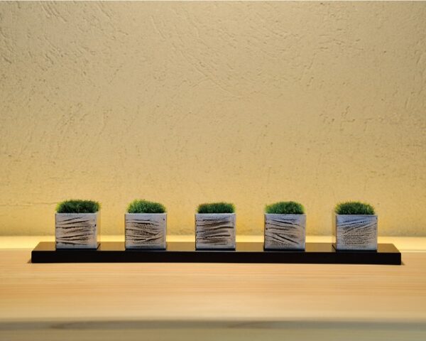 ちょこぼん　CUBE（キューブ）画像