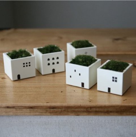 ちょこぼん　haco moss town（ハコモスタウン）画像