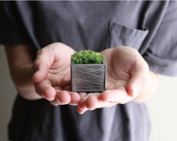 ちょこぼん　CUBE（キューブ）画像
